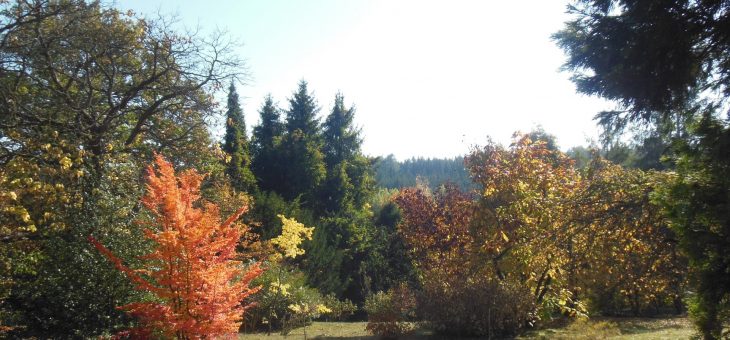 Podzimní dny otevřených dveří v Arboretu FLD ČZU